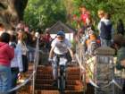 sany0254_small.jpg